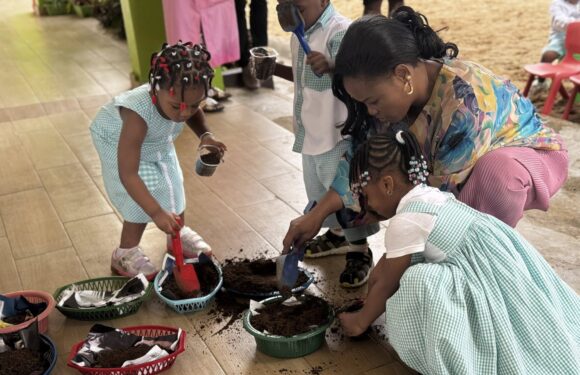 🌱 Atelier de planting en maternelle