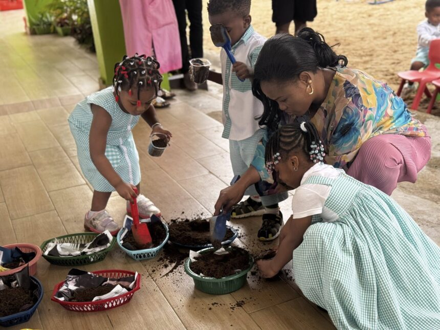 🌱 Atelier de planting en maternelle